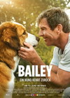 Bailey - Ein Hund kehrt zurück - Cover Bailey - Ein Hund kehrt zurück - Cover
