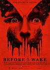 Before I Wake - Cover