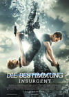 DIe BEstimmung insurgent