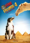F�nf Freunde 4 Cover